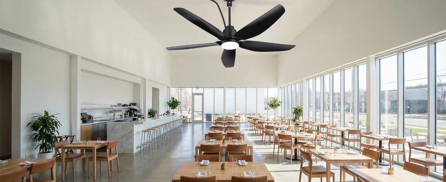 ceiling fans with lights