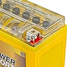 GEL Battery
