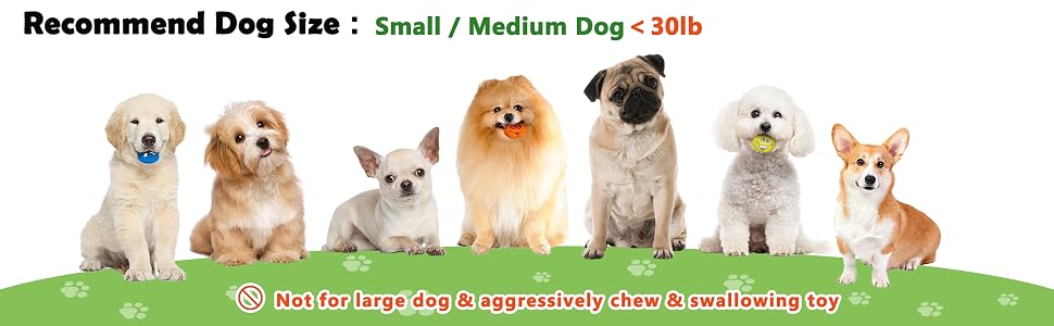 Squeaky Dog Toys
