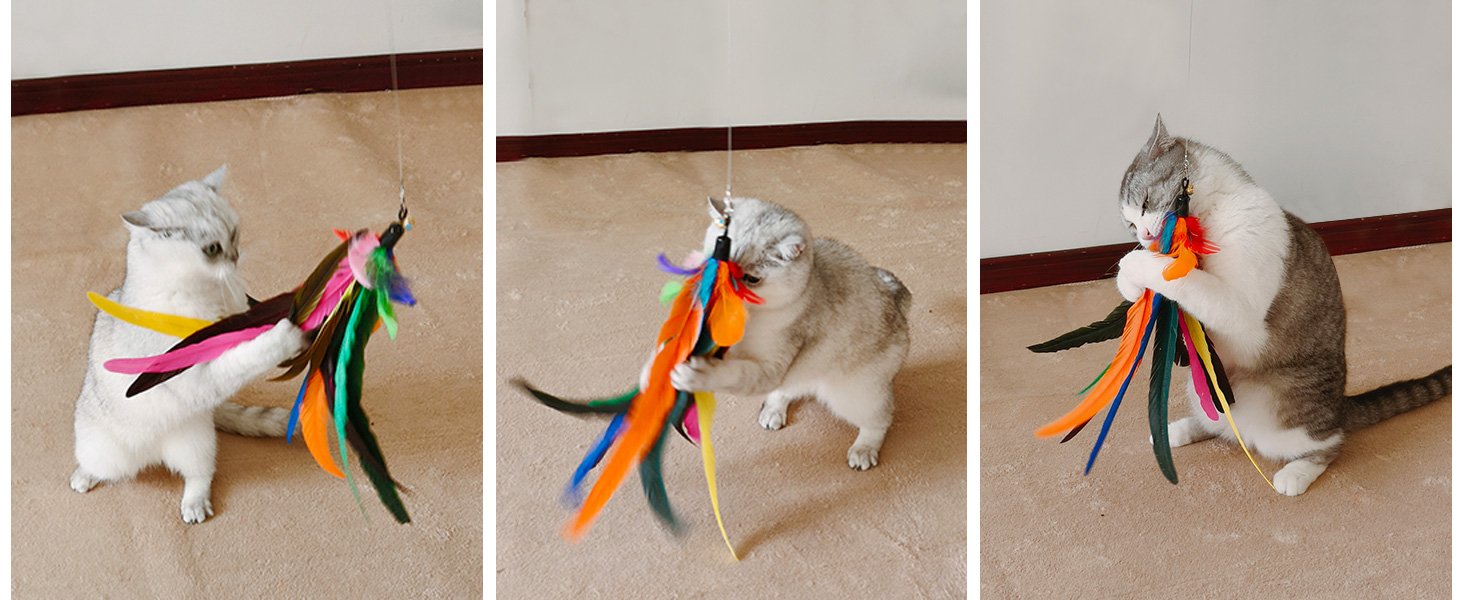 Retractable Cat Wand Toy and Feather Toys 9