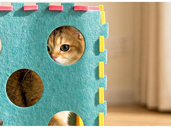 cat toys