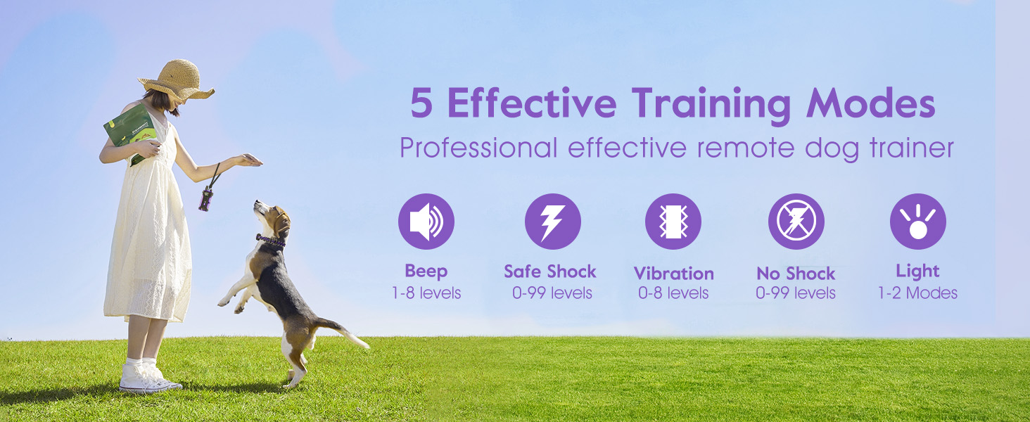 dog shock collar