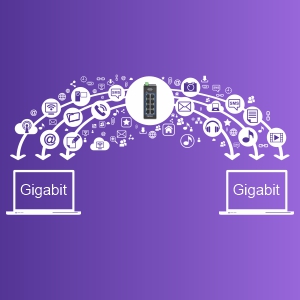 Gigabit Ports