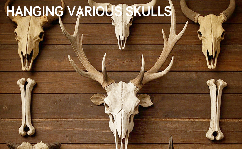 antler mounting kit