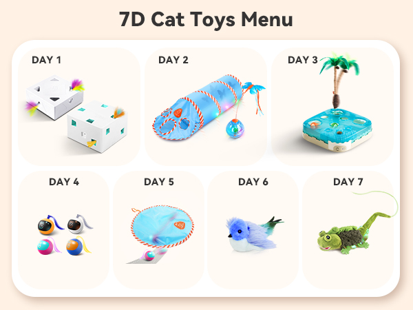 cat toy