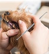 ARSUK Pet Dental Tooth Scaler Teeth Cleaning Tool, Dog Plaque Remover Teeth Whitening, Stainless ...