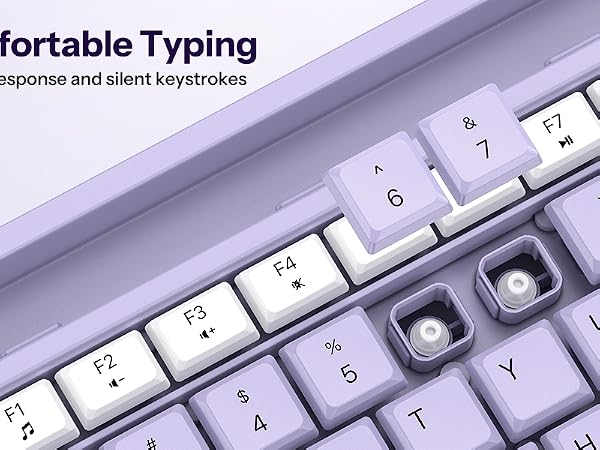 wireless keyboard and mouse