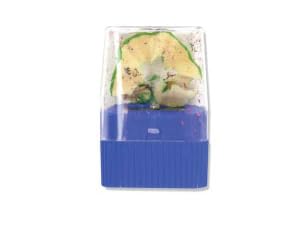 manual pencil sharpeners with lid bulk, manual pencil sharpeners for school bulk