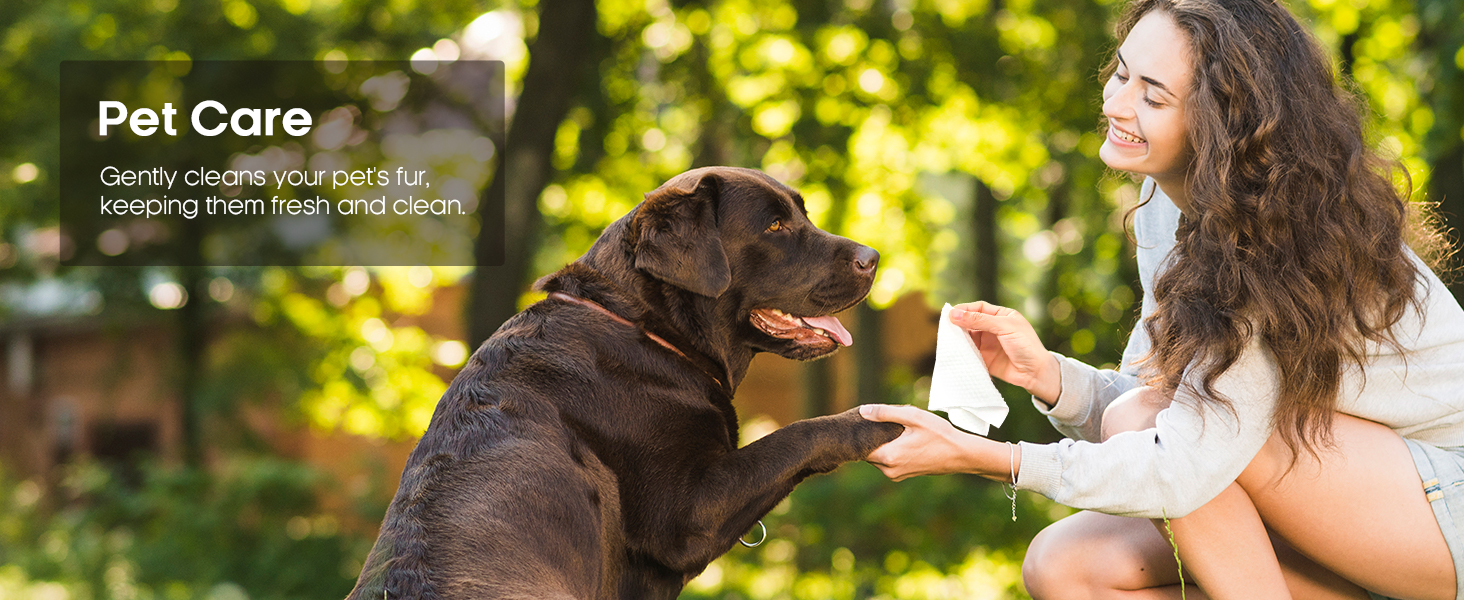 Pet Care