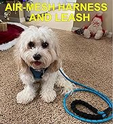 matilor Dog Harness Step-in Breathable Puppy Cat Dog Vest Harnesses for Small Medium Dogs