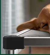 indoor dog bed-3