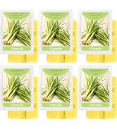 SCENTORINI Wax Melts, Citronella Scent, Summer Scented Wax Cubes Strong Scent, Lemongrass Scentsy...