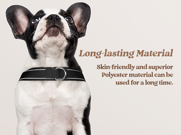 dog harness