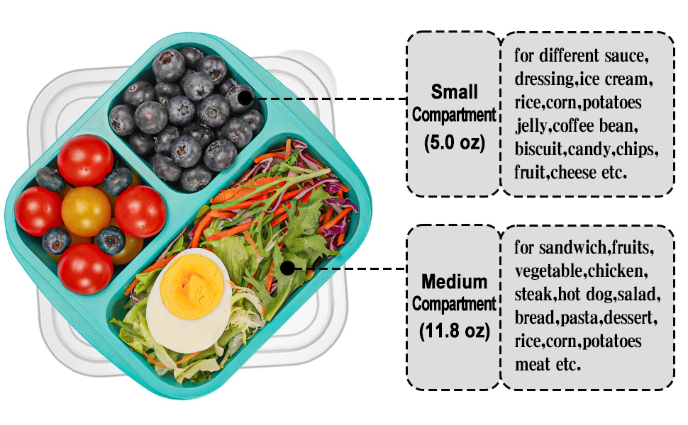 snack containers, lunch containers for adults, lunch box containers, snackle box container
