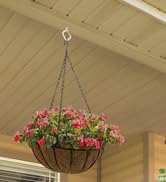 ceilling hooks for hanging plants