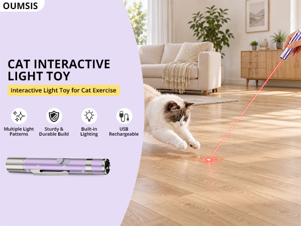 cat toys