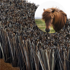 100% HorseHair