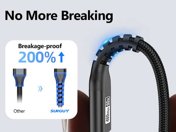 2 Foot USB C
