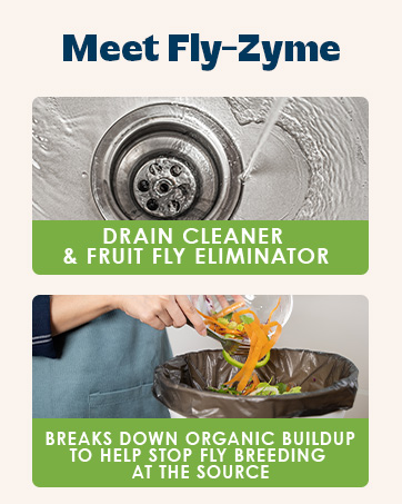Meet Fly-Zyme