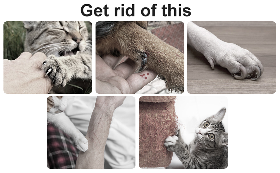 Dog Nail Trimmers