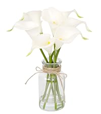 https://m.media-amazon.com/images/S/aplus-media-library-service-media/950aa5f3-5aac-4144-abaf-95c036463d5b.__CR111,0,1778,2000_PT0_SX200_V1___.jpg