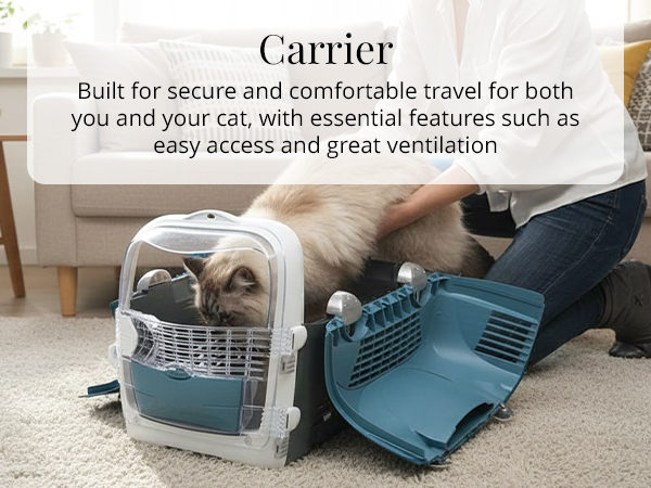 Carriers