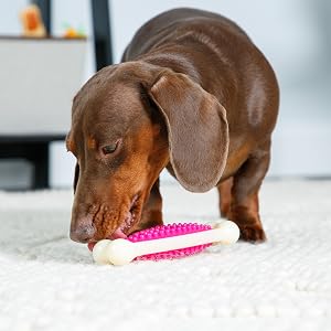 Chew 'n clean