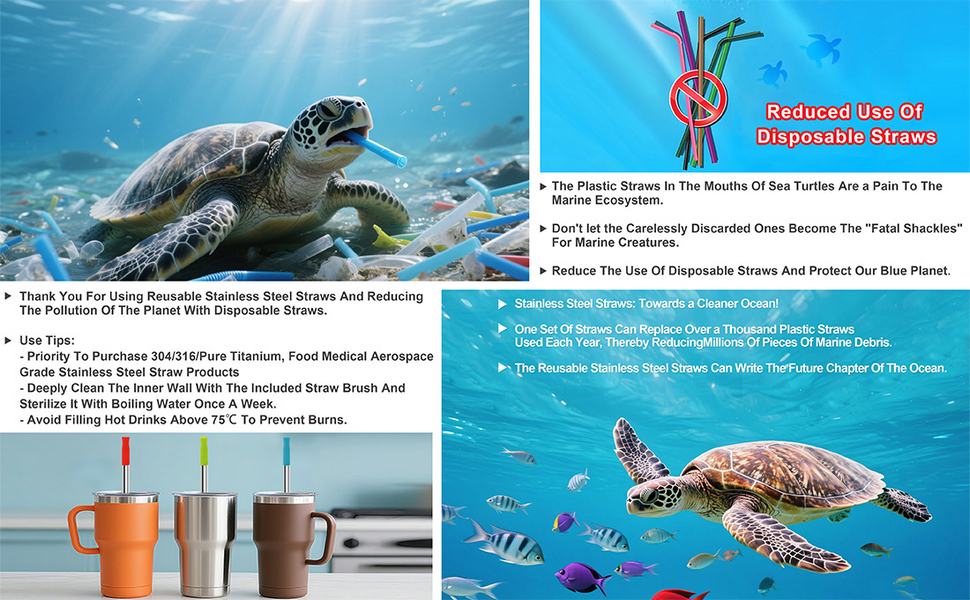 Reusable Stainless Steel Straw Set