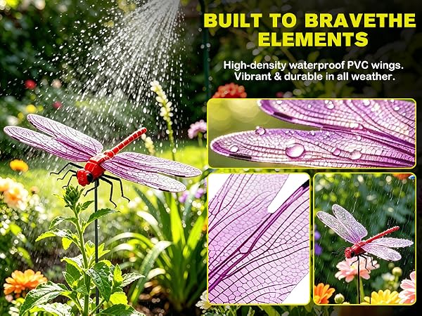 dragonflies to keep bugs away