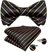 DiBanGu Men Bow Tie Paisley Striped Self-Bow Tie for Men and Silk Woven Bowtie Pocket Square Cuff...