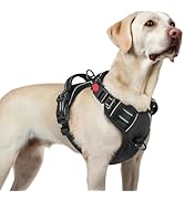 rabbitgoo Dog Harness for Large, No Pull Pet Harness with 3 Buckles, Adjustable Soft Padded Vest ...