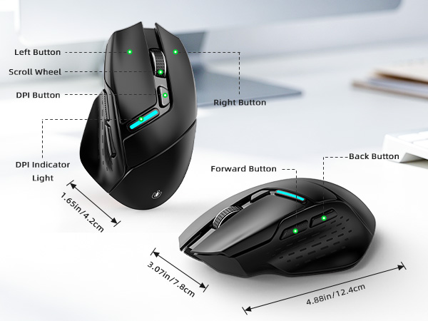mouse