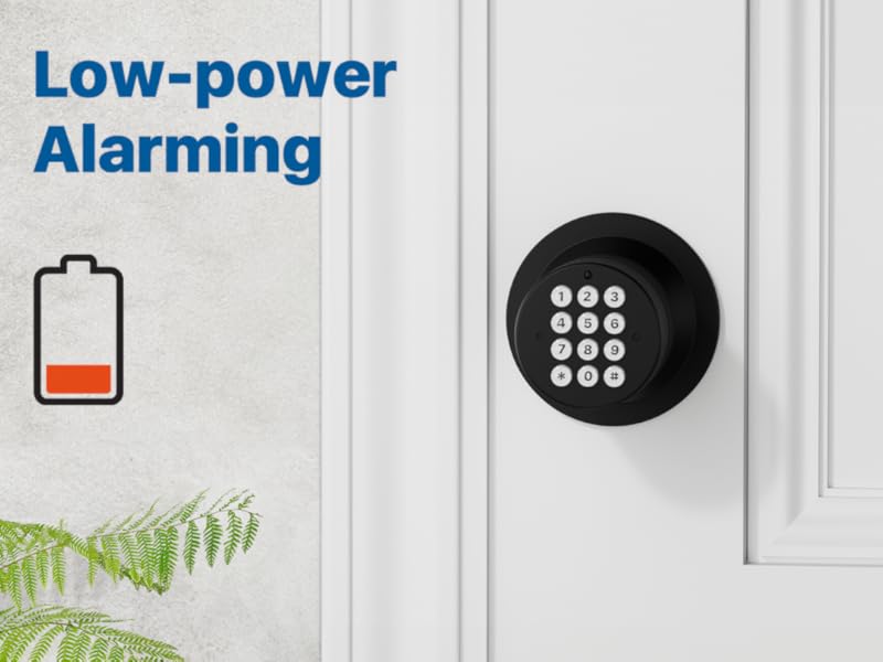 Door Knob with Keypad