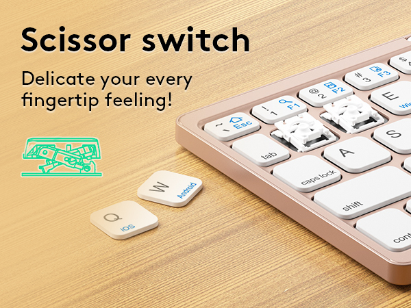 Scissor Switch