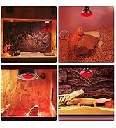 reptile light bulb