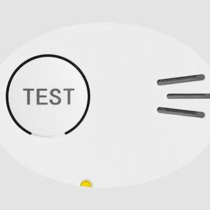 smoke and carbon monoxide detector
