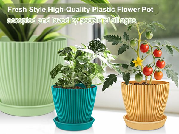 garden pot