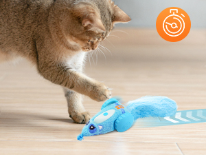 cat toys,cat toys for indoor cats best sellers,automatic cat toyinteractive cat toys for indoor cats
