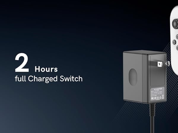 Nintendo Switch charger