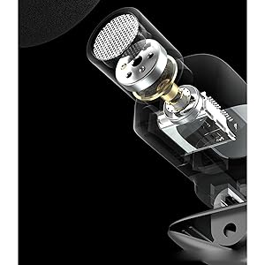 Microphone for iPhone