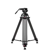 raubay video tripod dv-1