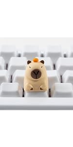 https://m.media-amazon.com/images/S/aplus-media-library-service-media/98756c28-c878-46a1-a3c1-97f780d55f13.__AC_SR150,300___.jpg