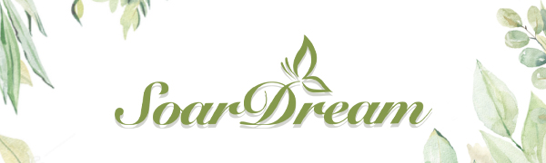 soardream