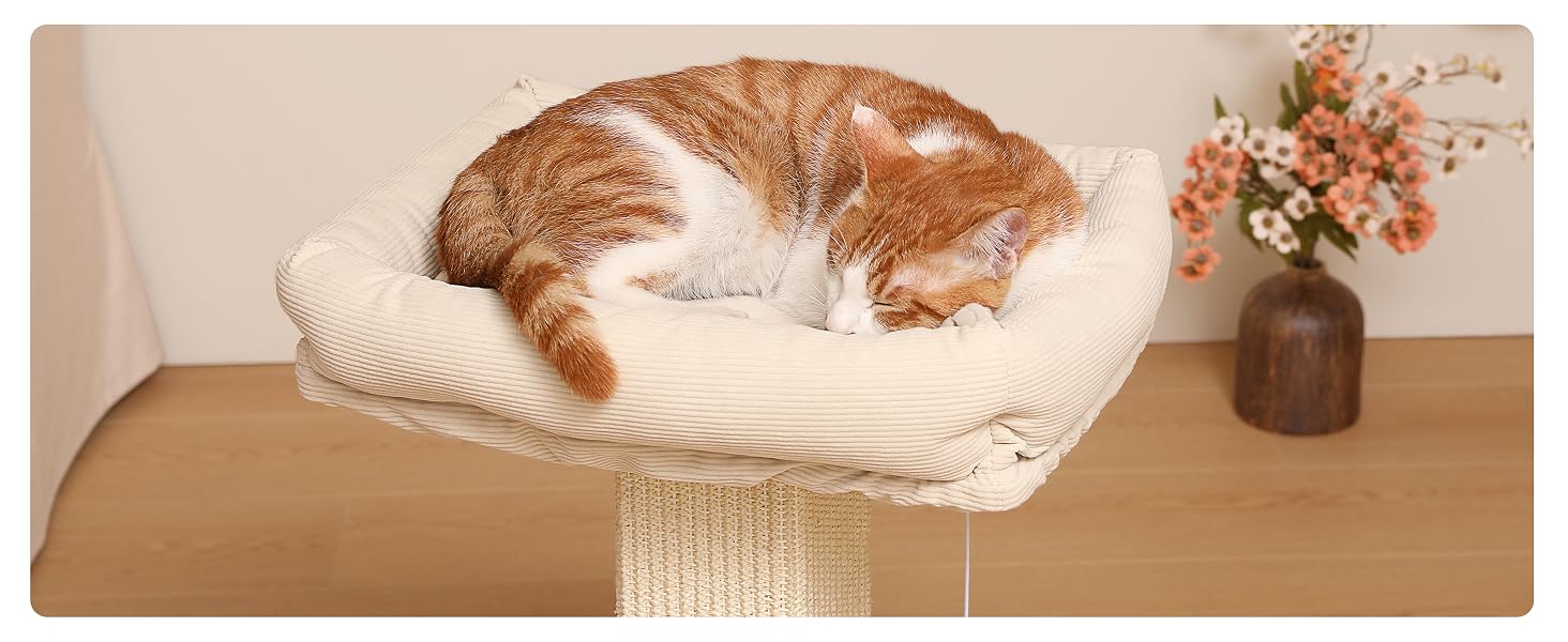 raised cat bed