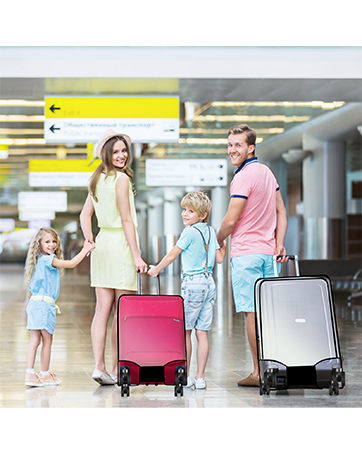 luggage cover
