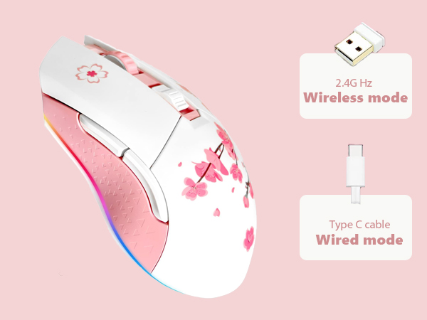 dual mode connectivity