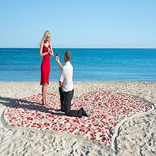 fake rose petals