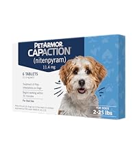 https://m.media-amazon.com/images/S/aplus-media-library-service-media/fea228d8-a59c-4f14-a65b-4e7eb12feebc.__CR167,0,2667,3000_PT0_SX200_V1___.png