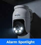 Alarm Spotlight
