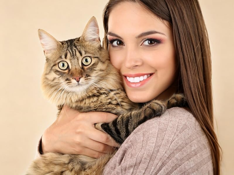 Automatic cat feeder